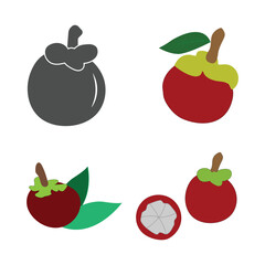mangosteen icon vector