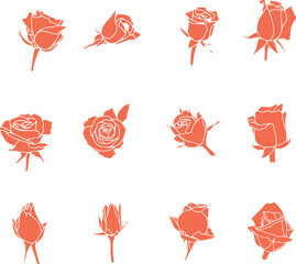 Rose Flower icon