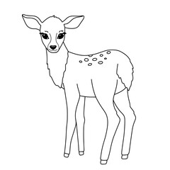 Cute line fawn. Vector outline illustration isolated on white background