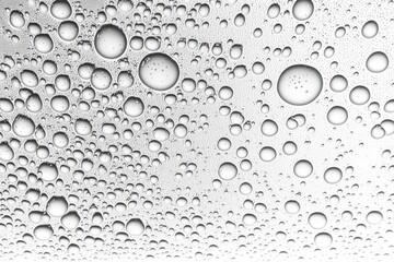 Texture of water drops on a white background. water droplets on the backlit glass. water with bubbles. Generative AI