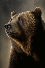 Portrait photo of a Grizzly Bear close up