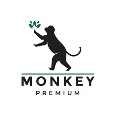 monkey animal mammal primate wildlife safari adorable logo design vector illustration