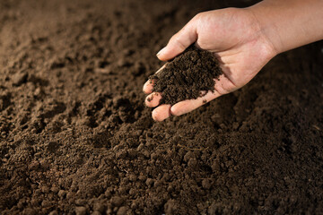 hand showing a soil for environment background