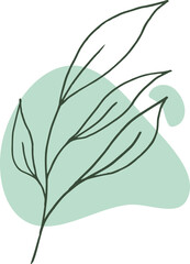 Hand drawn leaf line art with aesthetic shape or aesthetic blob simple decoration