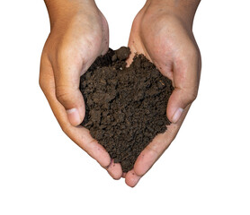 Two hands holding soil isolated