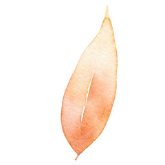 leaf isolated on white