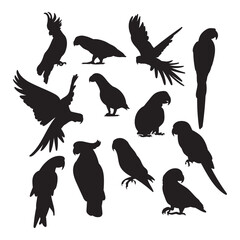 Parrot birds silhouette set for cutting, stencil templates - 571455498