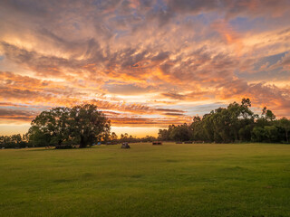 Sunset Over the Field