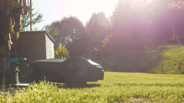 LENS FLARE, CLOSE UP Electric mower recharges the battery and continues mowing. Robotic lawn mower starts moving away from charging station in golden light. Automated garden device for cut garden lawn