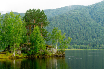 Summer landscape. A small island overgrown with trees in the middle of the river