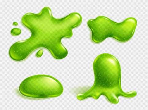 Slime splashes. Realistic green slime. Graphic concept for your