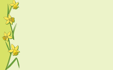 Frame with yellow flowers Narcissus.