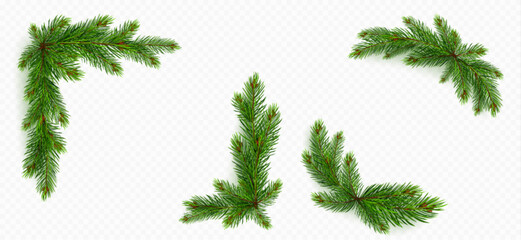 Pine tree branch border realistic vector illustration. Fir twigs with green needles, corner frame isolated on transparent background. Winter holiday evergreen decoration, spruce or cedar elements