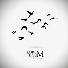 Flying birds logo. Free birds. Vector illustration
