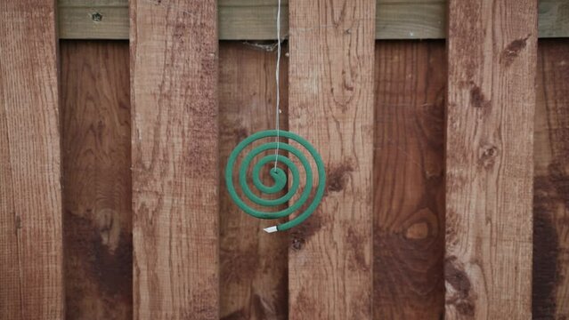 Green mosquito coil made of pyrethrin hangs on thread on rough wooden fence with old cobwebs and smokes. Repellent slowly spins around axis, repels mosquitoes in the countryside.