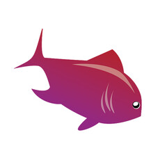 fish on a white background