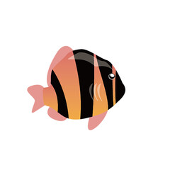 fish on a white background