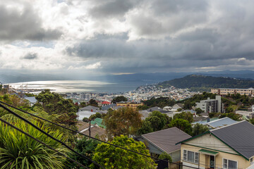 A foggy day in Wellington, New Zealand