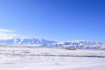 Sunny winter morning in the Tien Shnan mountains. Snow fields in the foreground