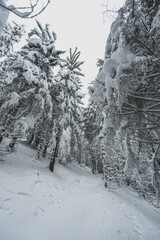 Mountaineer backcountry ski walking ski alpinist in the mountains. Ski touring in alpine landscape...
