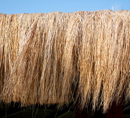 Dry hay on the roof of the house.