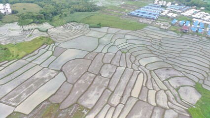 Fototapeta premium FIMI Drone Camera -PLOT RICE FIELD