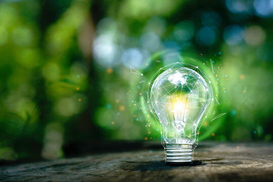the light bulb that represents green energy for technology environmental friendly renewable energy or clean circular energy concept. sustainable energy sources.
