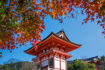 Obraz premium 京都 清水寺の仁王門と紅葉