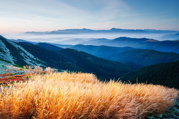 Breathtaking view of mountain ranges and peaks in the morning light. Carpathian mountains, Ukraine.