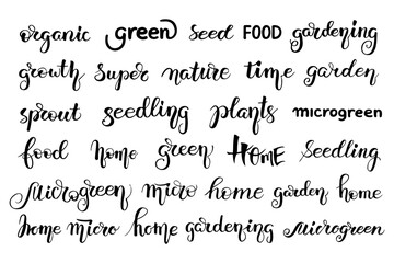Naklejka premium Microgreens seeds lettering. Set Vector doodle illustration. Calligraphy text objects