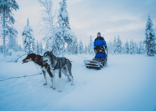 advertising picture for dog sleds in ice cold snowy winter landscape with couple and husky