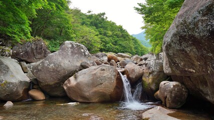 Fototapeta na wymiar Beautiful summer valley scenery in Korea