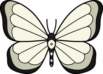 Butterfly illustration. Vector illustration. Live nature.

