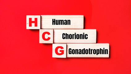 On a bright red background, wooden cubes and blocks with the text HCG Human Chorionic Gonadotrophin. Manufacturing of wooden toys.