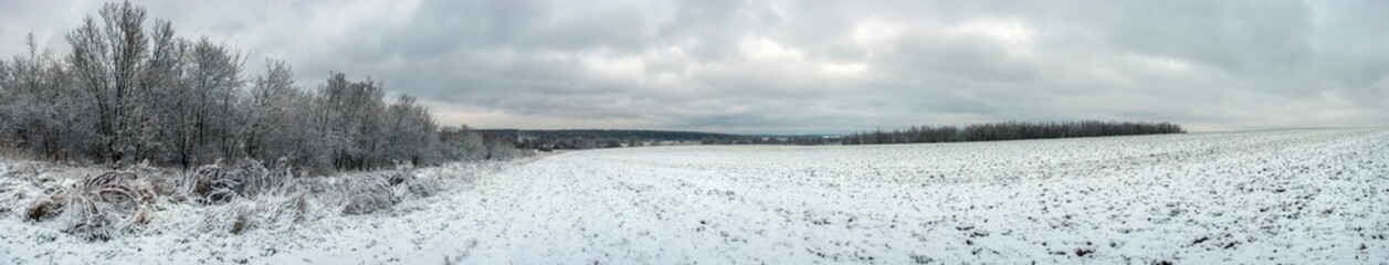 A panorama of a snow-covered field, providing humanity with food products. Agricultural crops under...