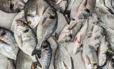 Fresh chilled fish among ice in a supermarket