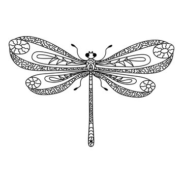 Dragonfly. Coloring page for adults anti stress in zentangle style, isolated on white background.