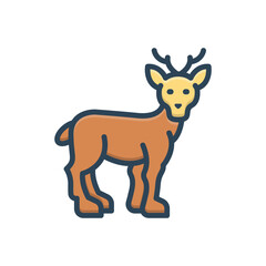 Color illustration icon for doe