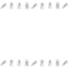 セミのフレーム　その2