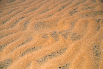 sand ripples in the desert