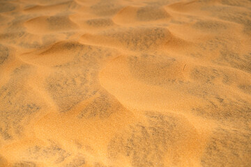 sand dunes in the desert