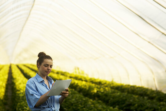 Farmer woman checking  with protocol in a glasshouse