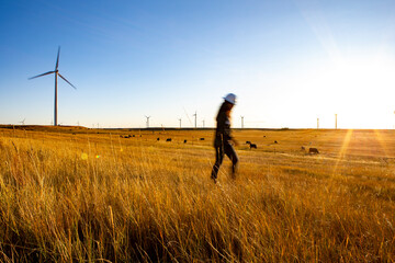 Female operator walks through a wind farm at sunset
