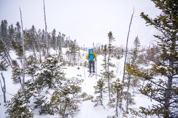 Man skiing through small trees in winter with low visibility