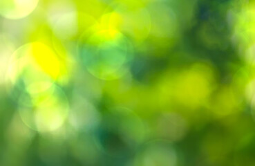 Obraz premium Abstract green bokeh background