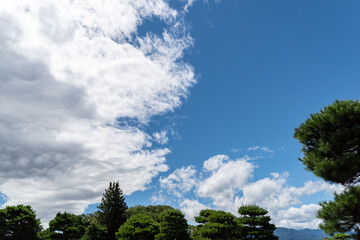 Obraz premium 綺麗な青空