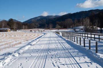 雪景色の開田高原
