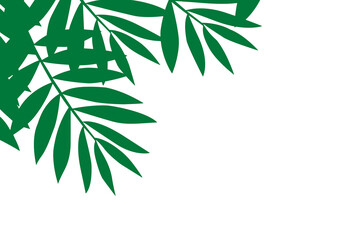 Abstract backdrop pattern of green leaves above and below empty.
Natural background and copy space.