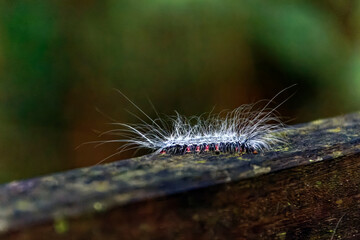 Impressionen von Borneo - Malaysia