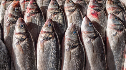 Obraz premium Sea fish on the store counter, top view.